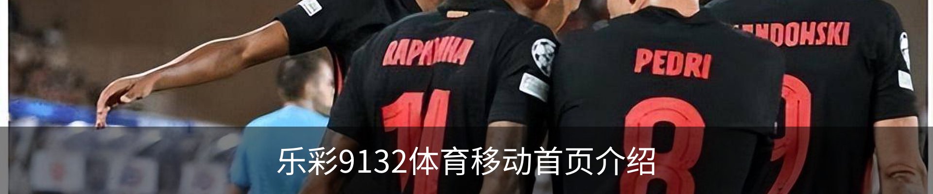 内页banner